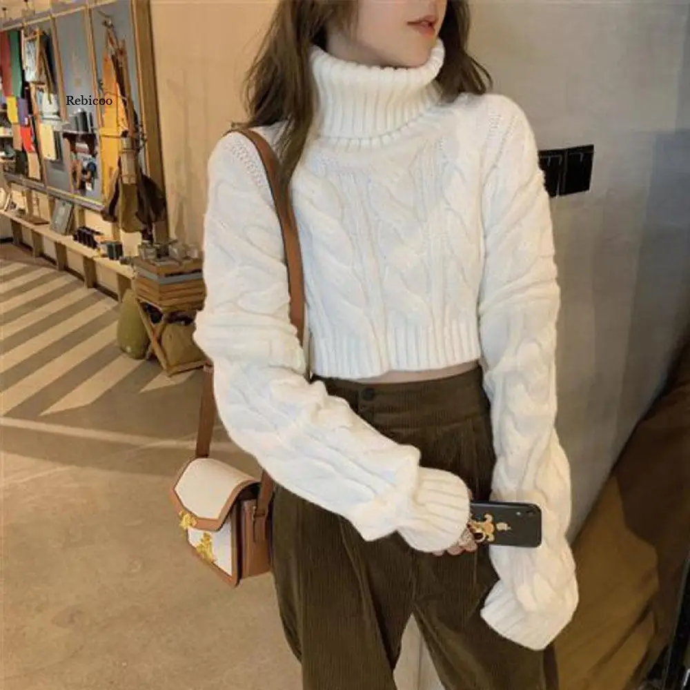 2023 Autumn Winter Women Turtleneck Sweater Loose Elegant Warm Knitted Pullovers Fashion Solid Tops Knitwear Jumper