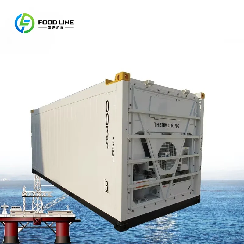Customized 20ft Refrigerated Offshore Reefer 20 Feet Freezer Container for Vegetables Fruits Seafood Storage for Sale
