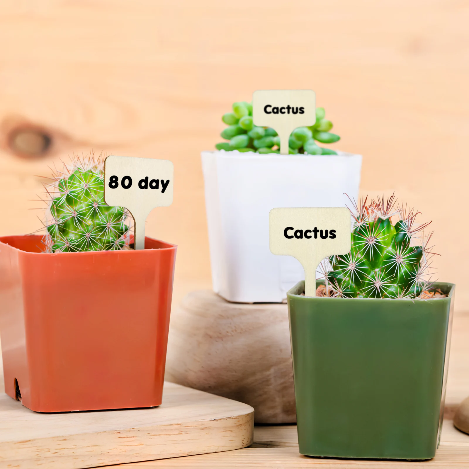 

50 Pcs Plant Succulents Labels Garden Markers for Outdoor Use Wooden Picks Tags Flower Pot Gardening