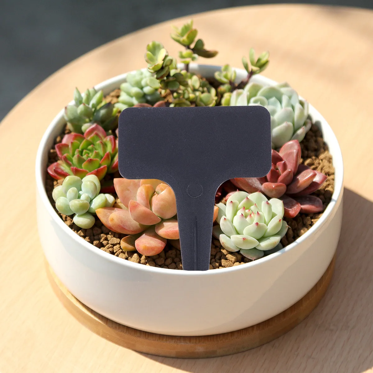 Etichette per piante in plastica durevoli da 100 pezzi Etichette da giardino impermeabili per mini indicatori di piante grasse in serra Vaso di fiori nero