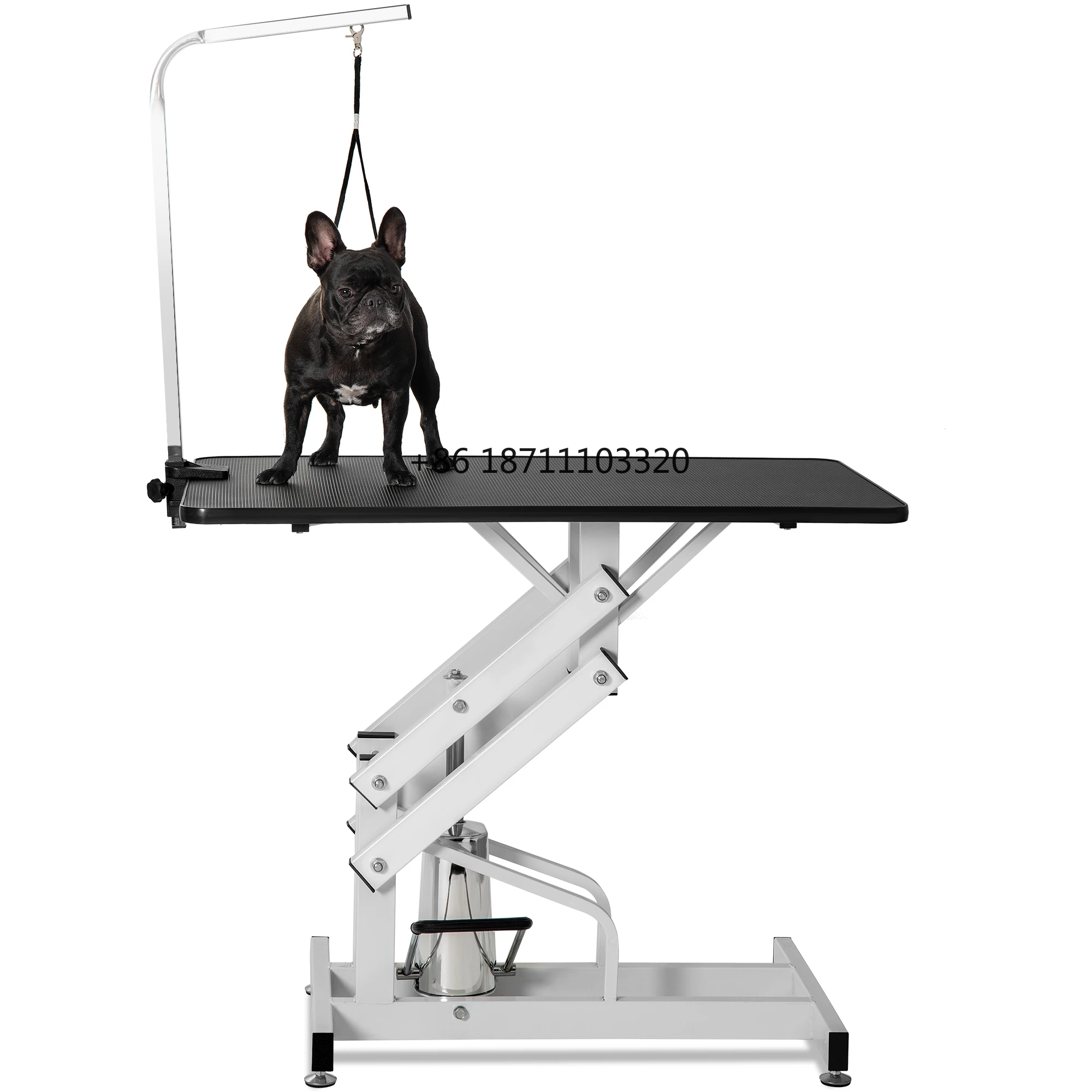 MT Medical Best Price Electric Lifting Dog Grooming Table Pet Grooming Table