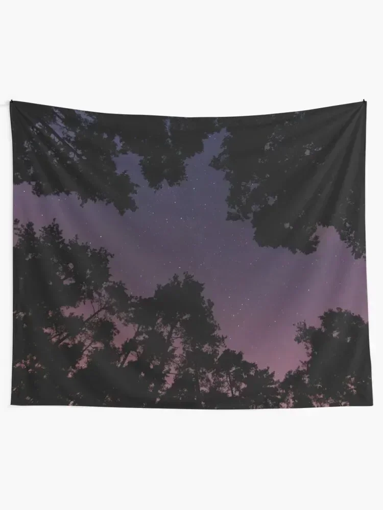 

Night Sky Tapestry Carpet On The Wall Decoration For Home Decor For Room Tapestry