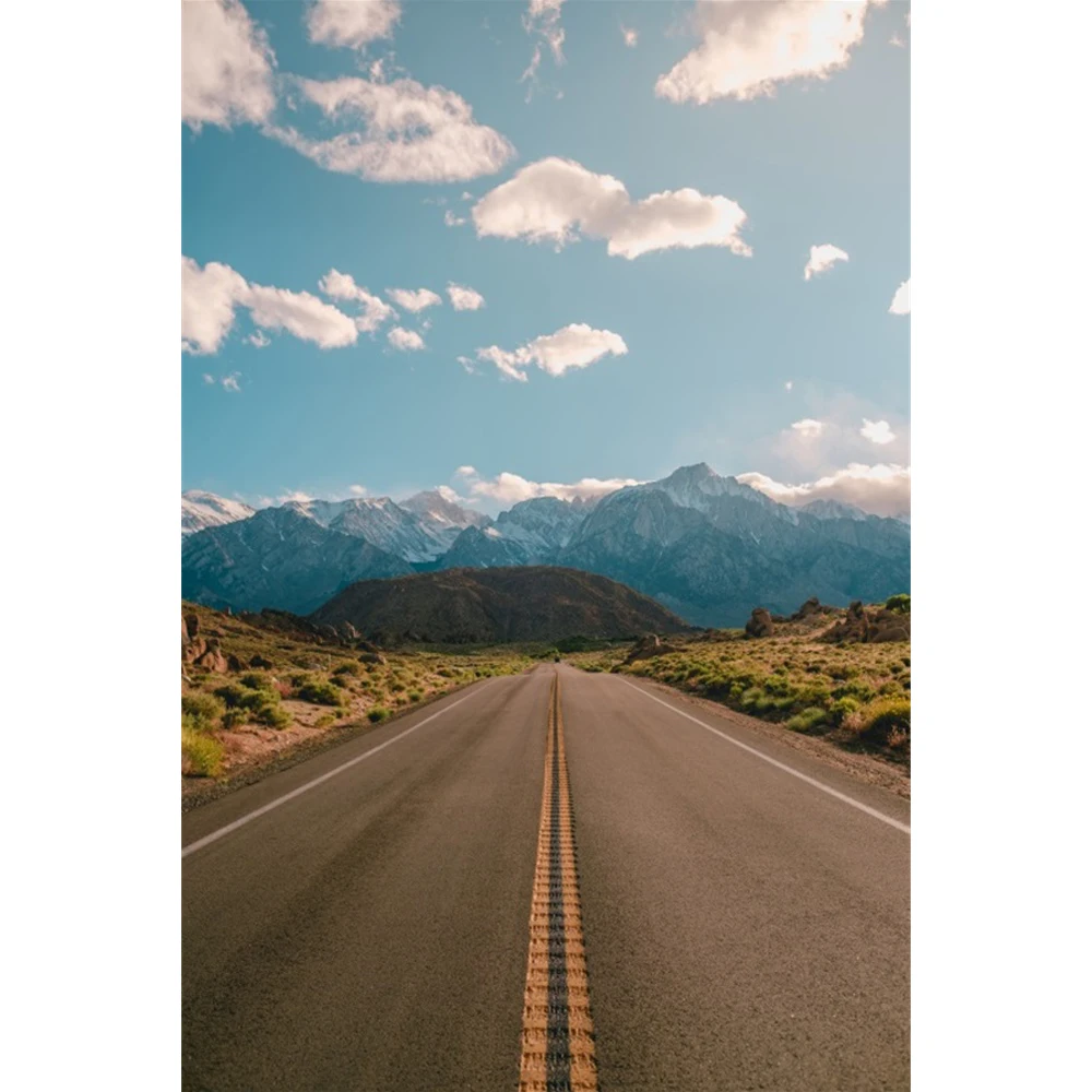 Laeacco Highway Backdrop Winding Endless Road Countryside Nature Scenery Lush Tree Kids Adults Portrait Photography Background