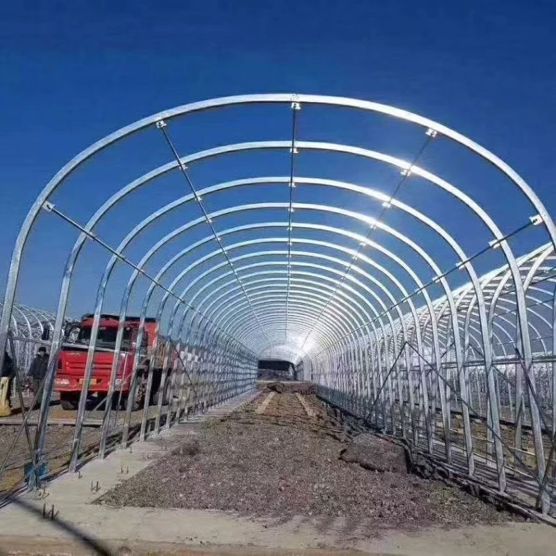 Planting greenhouse, greenhouse skeleton, breeding greenhouse, chicken shed, pig shed, vegetable greenhouse