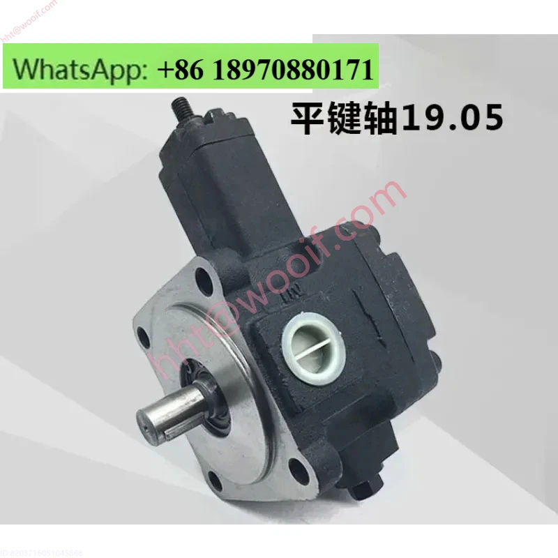 مضخة الزيت الهيدروليكي VPVC-F20/F12/F30/F40-A4/A3/A2/A1-02A/031A مضخة ريشة متغيرة