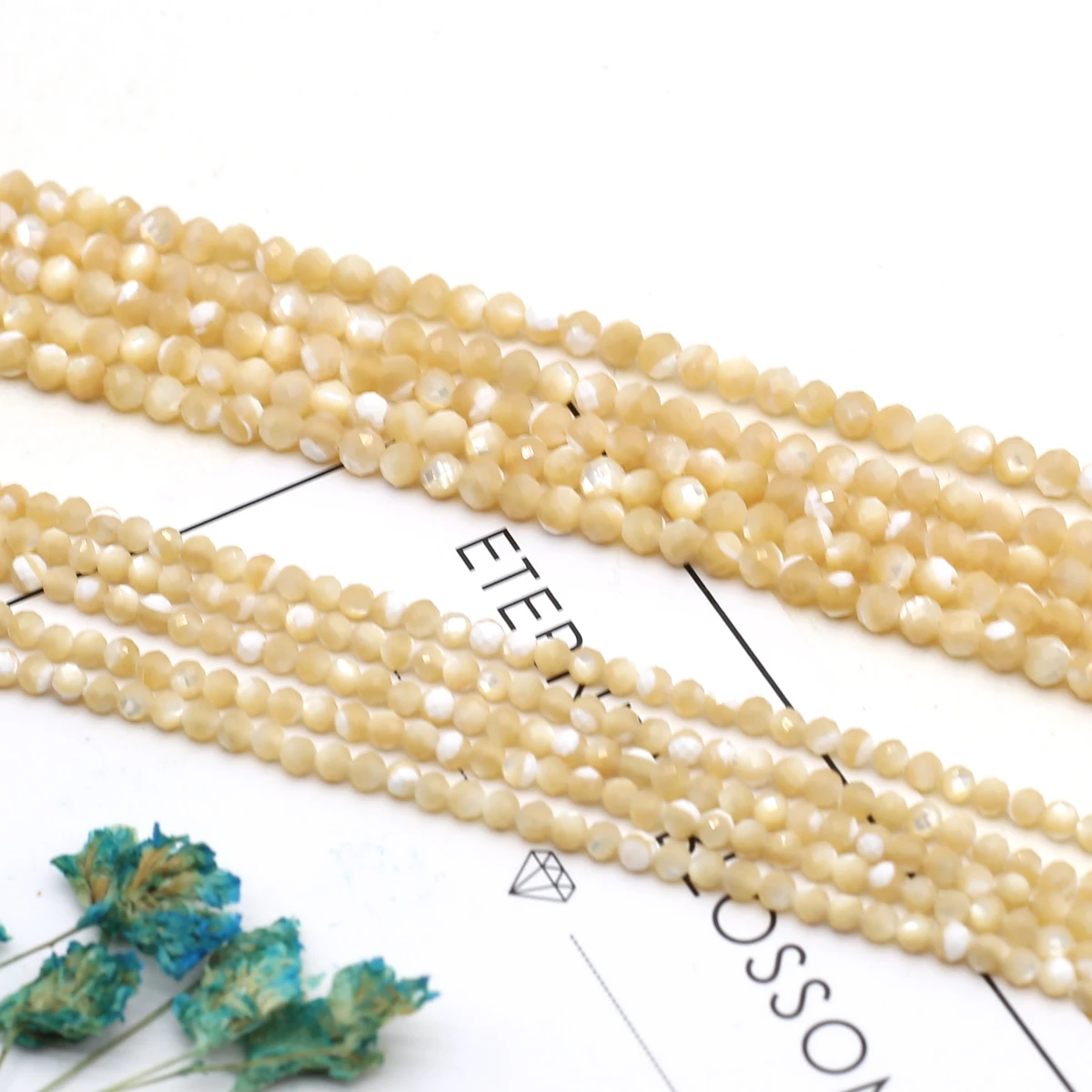 Natural Freshwater Shells Beaded Faceted Round Charms Isolation Loose Beads for Jewelry Making Diy Necklace Bracelet Accessories