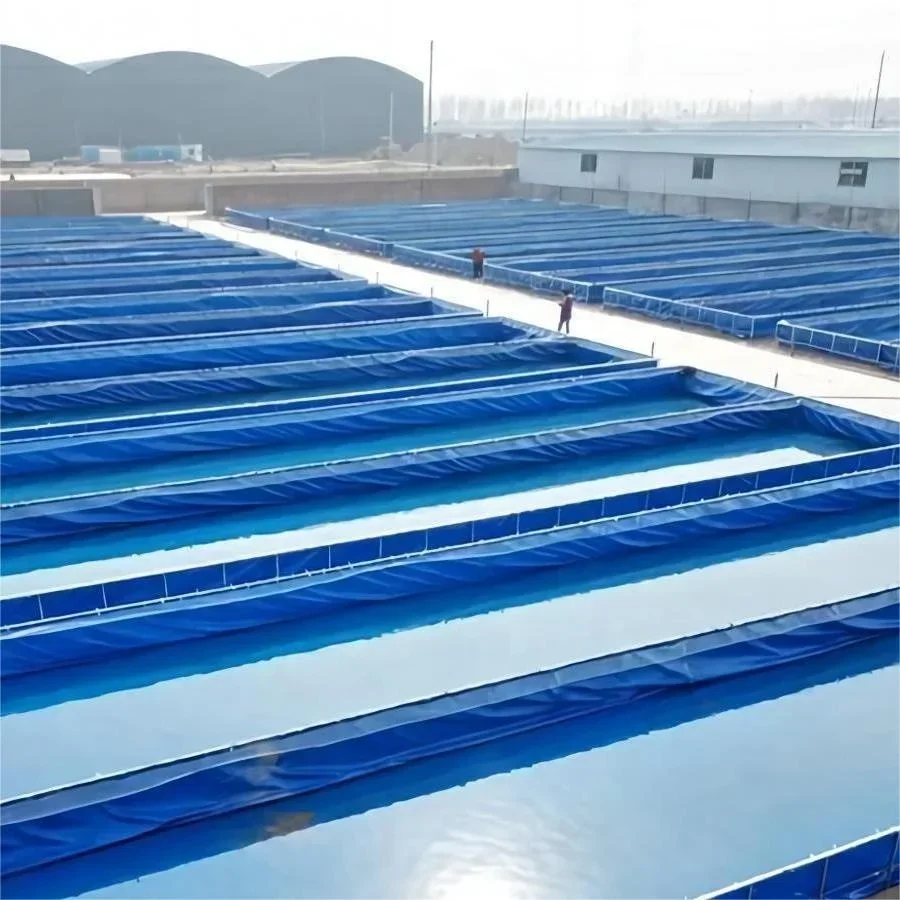 Low Investment Pvc Fish Pond Biofloc Tank Fish Farming Fish Tanks For Plants