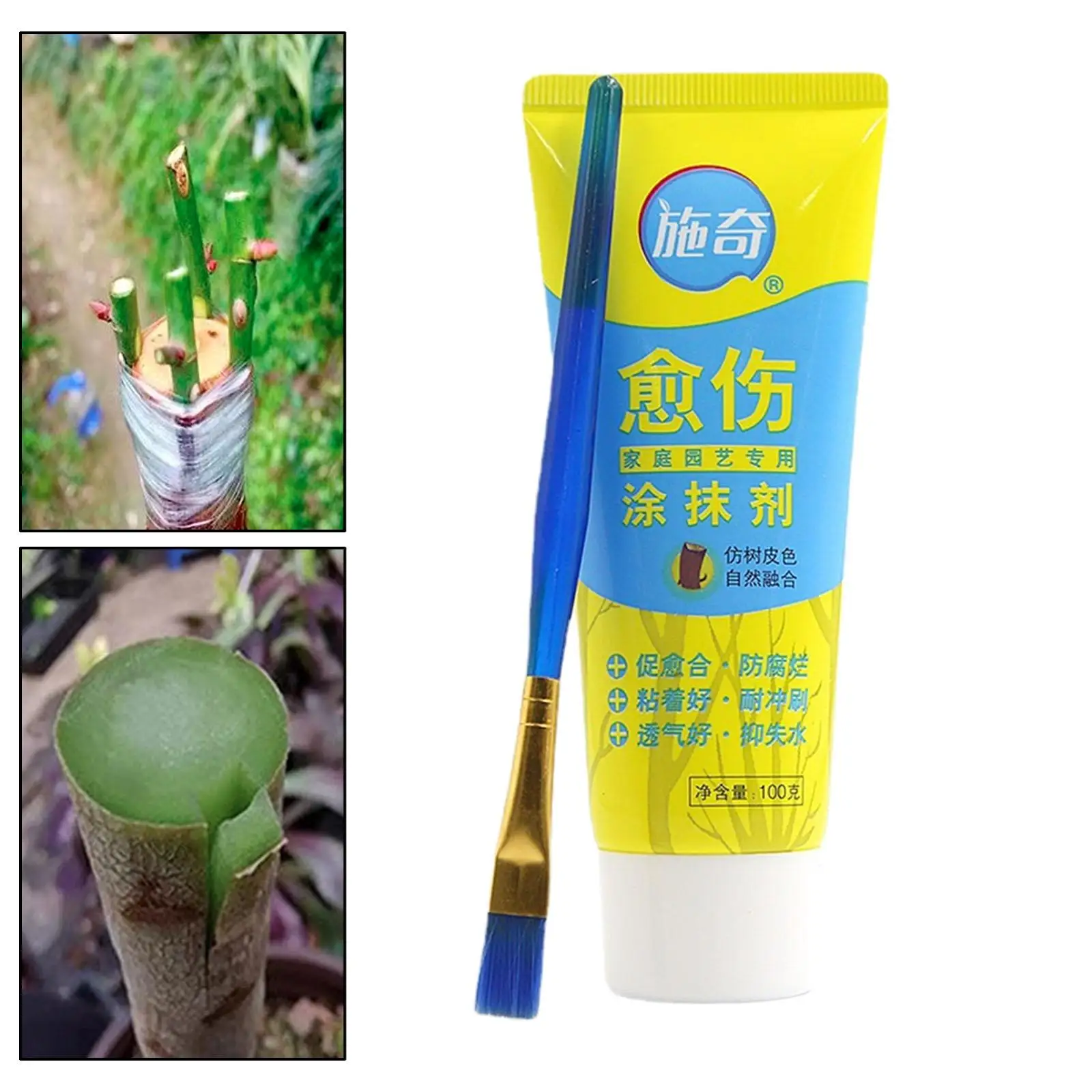 

Tree Pruning Sealer Ready to Use 100G Tree Dressing with Brush for Plant Grafting Shrubs Pruned and Damaged Trees Bonsai Bushes