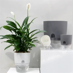 2 Layer Soilless Cultivation Flower Pot Cotton Rope Self Watering Hydroponic Plant Basin Automatic Irrigation Lazy Flowerpot 1Pc
