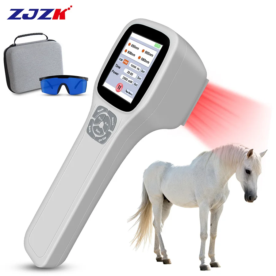 

Class 4 Low Level Laser Therapy Horse Pet Physiotherapy for Hospital Clinic Use to Reduce Joint Pain and Inflammation 808nm