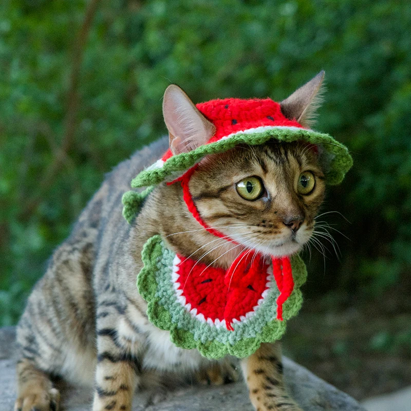 

Summer New Pet Crocheted Hat Watermelon Hat Cat Headdress Dog Accessories Bib Set Suitable for Taking Pictures