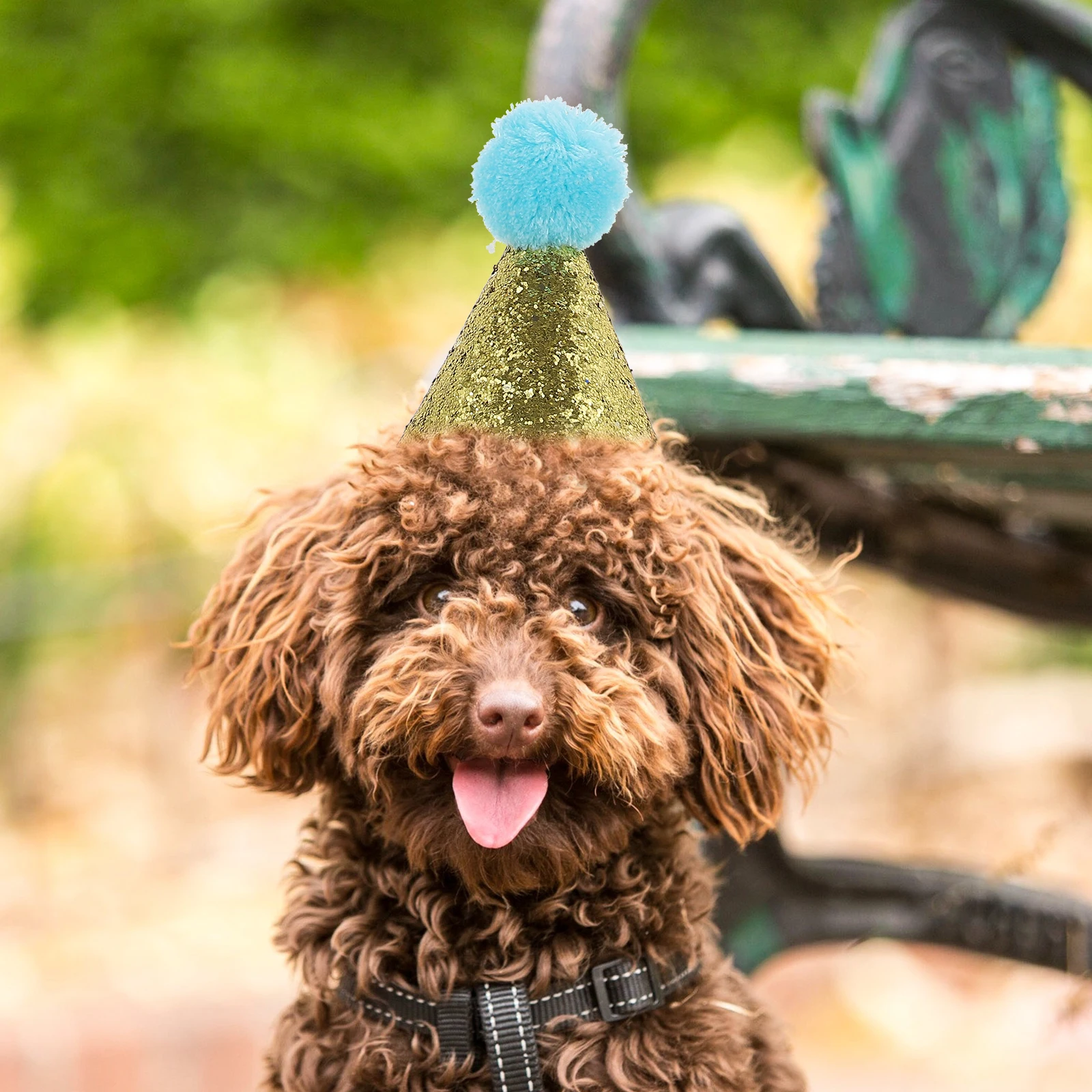 

4pcs Pet Birthday Hat Puppy Dog Cone Caps Breathable Cloth Photo Moment Recording Pet Supplies Dog Hats