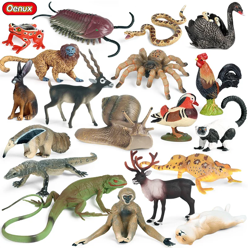 New Wild Animals Snail Spider Elk Frog Snake Model Action Figure Farm Cat Dog Figurines Miniature Collection Kids Toys