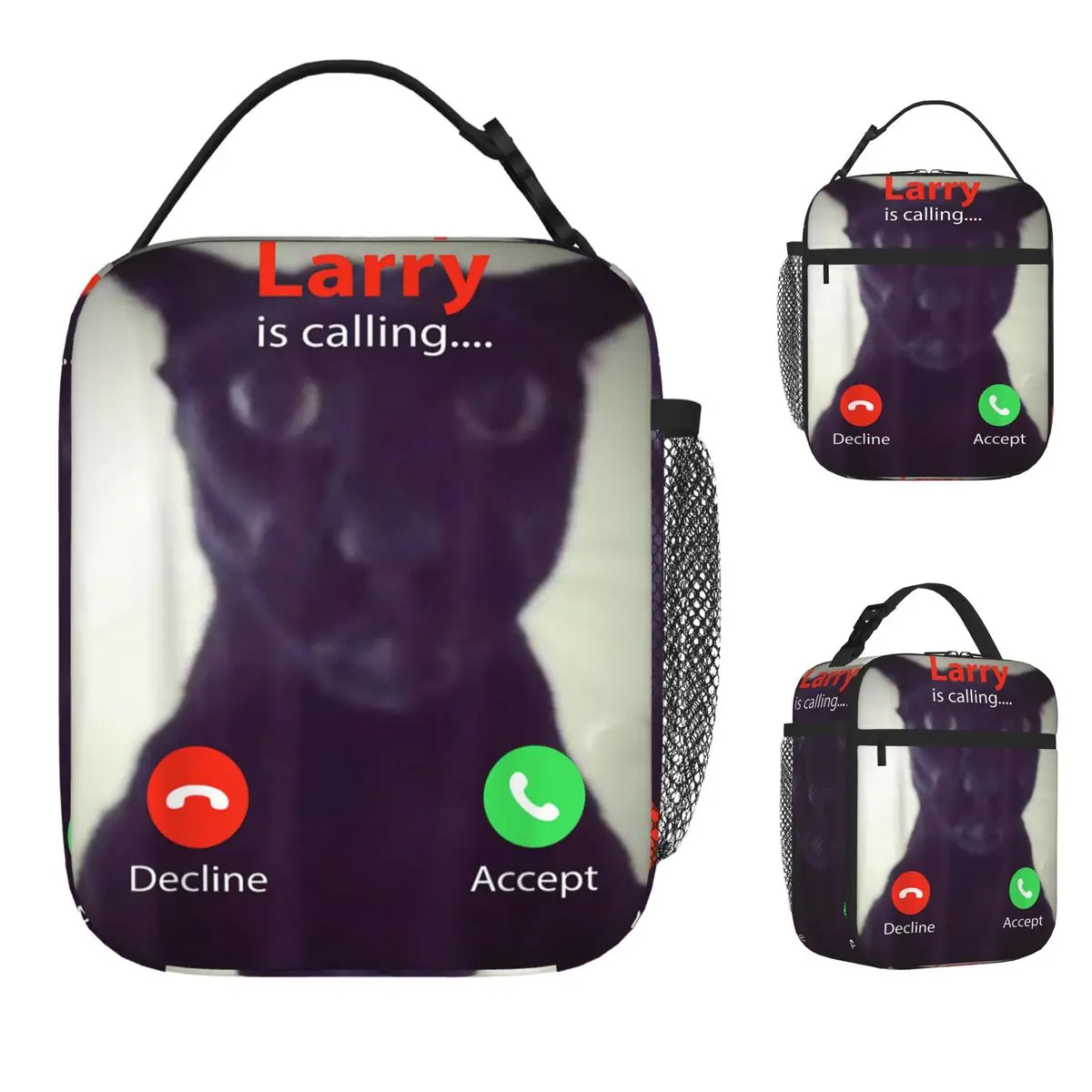 صناديق الغداء المعزولة مضحك الشر لاري القط دانك Brainrot ميمي حاوية الغداء موضة الحرارية برودة علب الاغذية للمدرسة