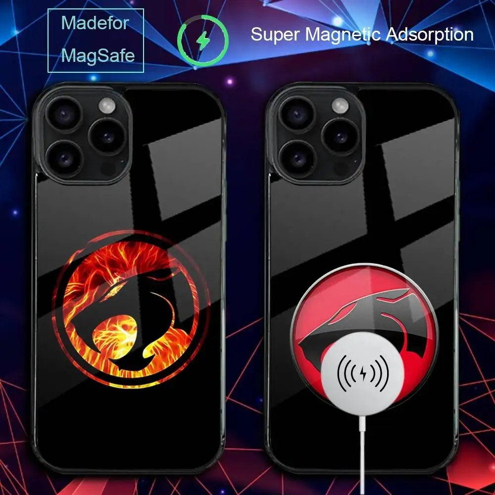 

Чехол для телефона T-Thunder Cartoon CatsS для iPhone 17,16,15,14,13,12,11, Pro, Max, Plus, Mini,SE4,E с магнитной беспроводной зарядкой Magsafe