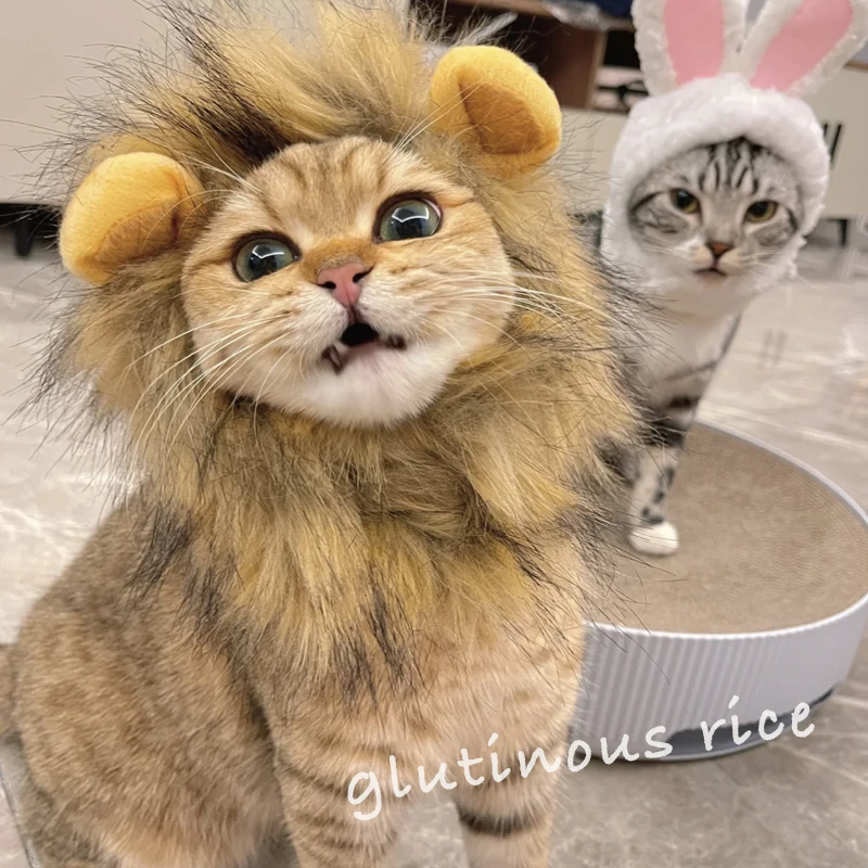 Cat Lion Head Set Ears Small Dog Dog Hat Pet Cute Accessories Headdress  Pet Accessories