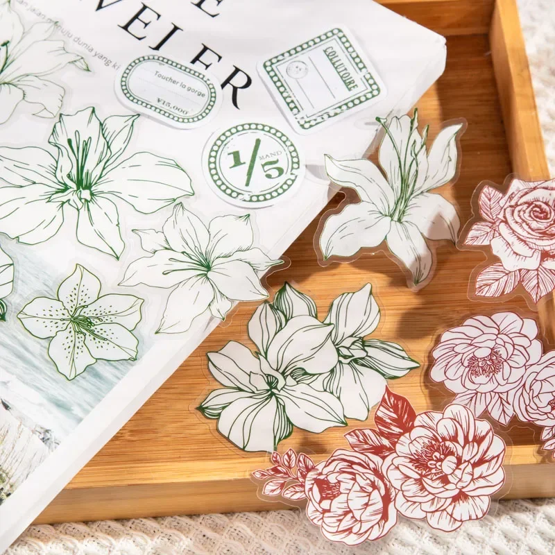 40pcs Plant Line Drawing PET Pack Sticker Pack for DIY Handbook Collage Backing Decoration Label Stickers Album DIY Scrapbooking