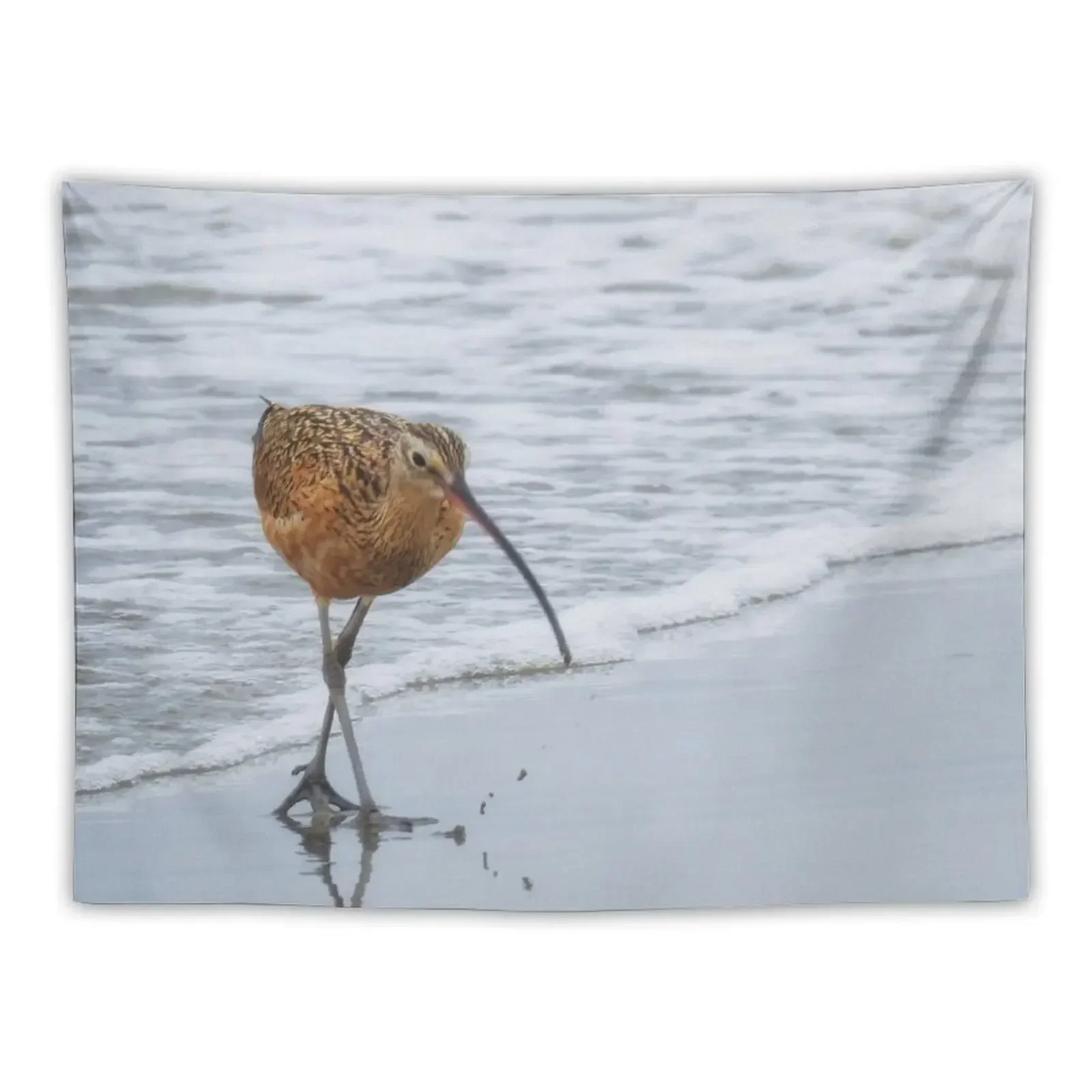 

Long Billed Curlew Tapestry For Bedroom Cute Room Things Tapestry