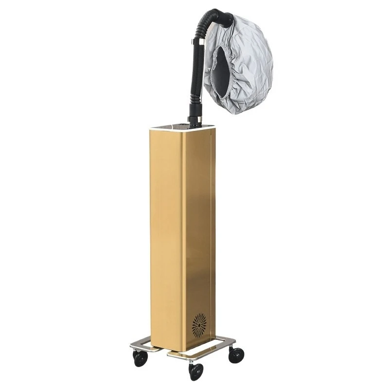 Mist  Conditioner Hair Baking Oil Machine Steam Engine Hair Salon Active Oxygen Ozone Biochemical Instrument Hair Salon