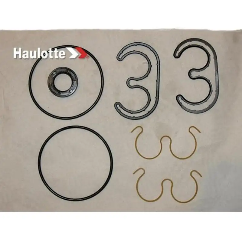 2505003070 Haulotte Sale SEALS KIT