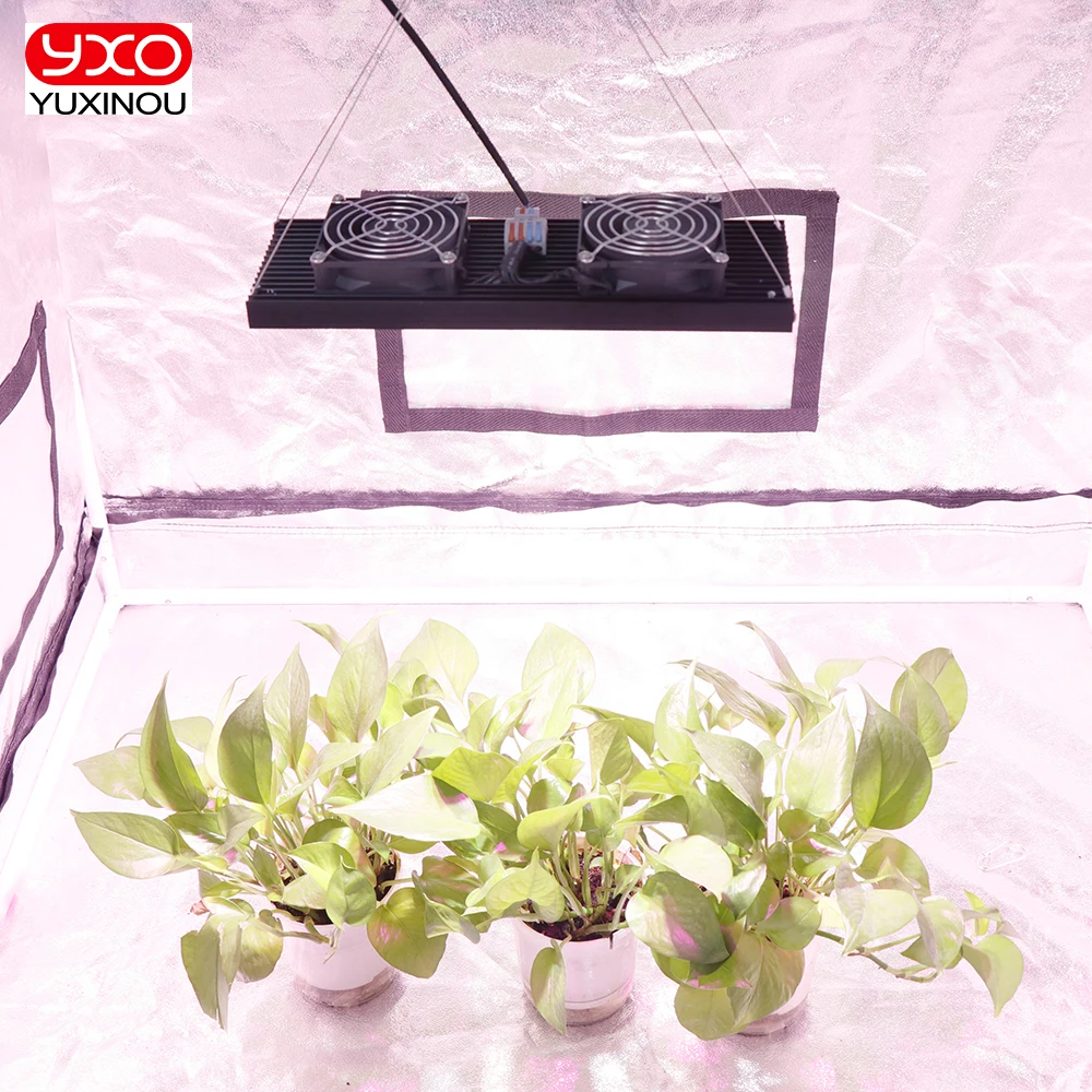 Imagem -06 - Led Cresce a Luz Pode Ser Escurecido 2000w Dob Espectro Completo Crescer Hight Ppfd Phytolamp para Flores de Efeito Estufa Crescer Led Plantas Vegetais Florescendo