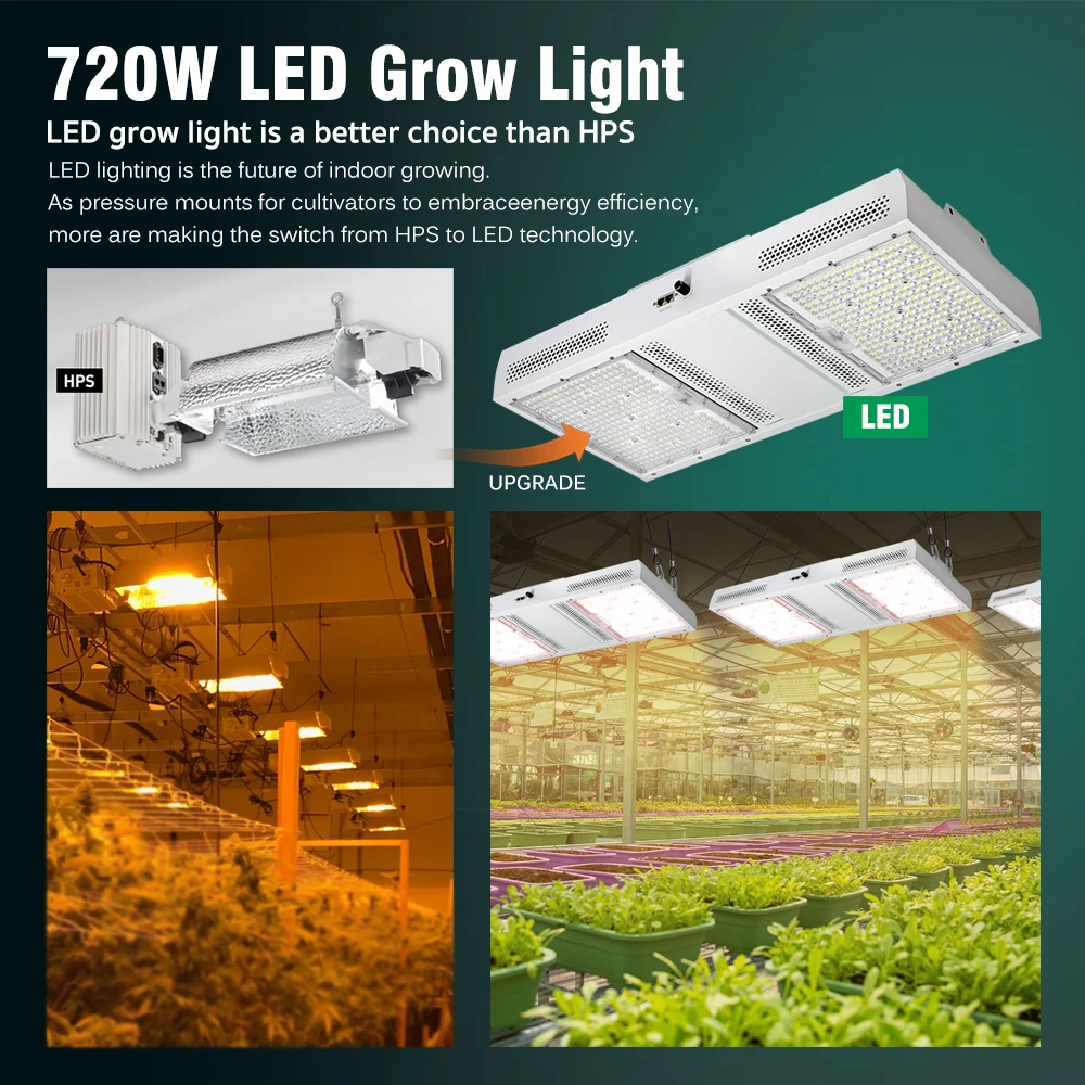 LED Grow Lights para Estufa, Luzes reguláveis para plantas, Chips LED, Branco, 5050, 5050, 720W, AC100-277V, 5000K