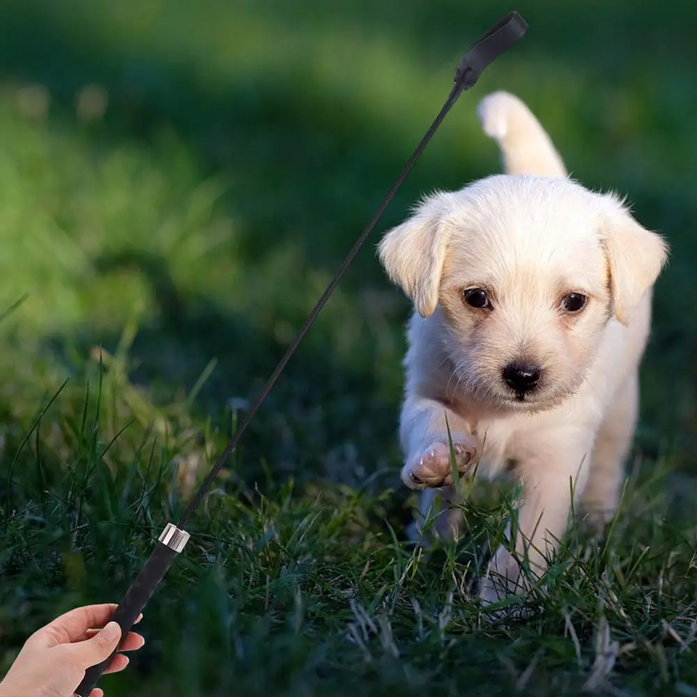 

Plastic Pet Training Pole Whip Frosted Handle Not Hurt Dog Riding Crop Whip Interactive Leather Head Dog Teaser Wand