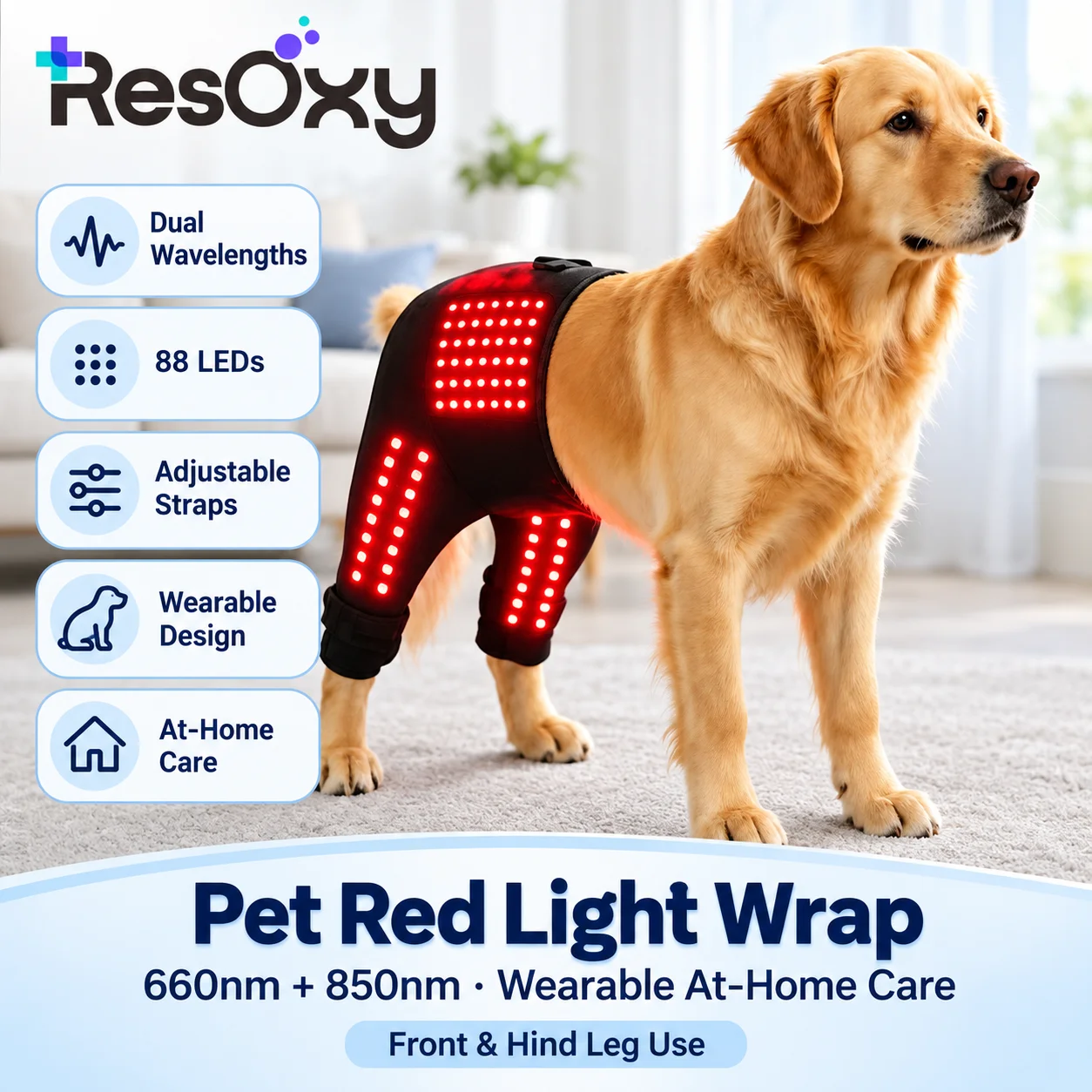 enveloppement-lumineux-rouge-pour-animaux-de-compagnie-led-660-nm-et-850-nm-soin-des-hanches-et-des-pattes-arriere-conception-portable-rechargeable-sangles-reglables-pour-chiens-et-chats
