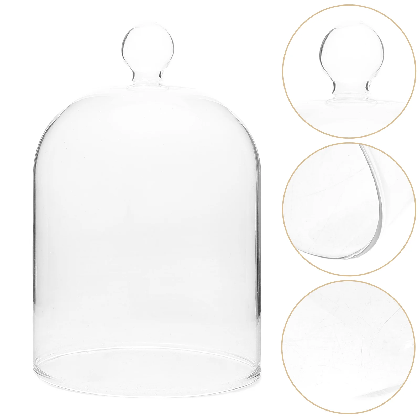 أحمر الشفاه الخالد زهرة الروائح غطاء الزجاج الأبدي قبة شفافة الجرار الزخرفية #2