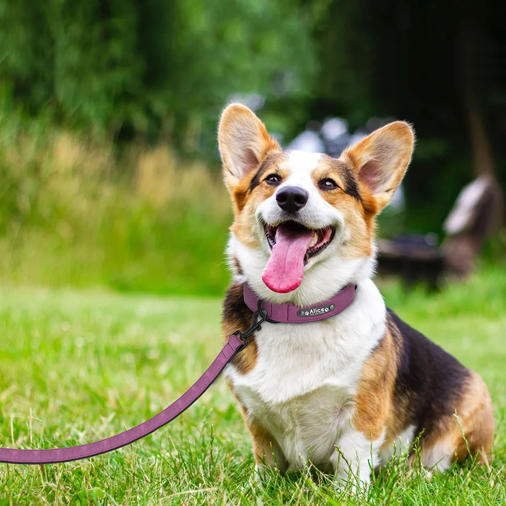 Personalisiertes PU-Leder-Hundehalsband-Leinen-Set, weich gepolsterte Hundehalsbänder, gravierte Haustier-ID-Halskette mit Leine für kleine große Hunde, Mops – Detail 24
