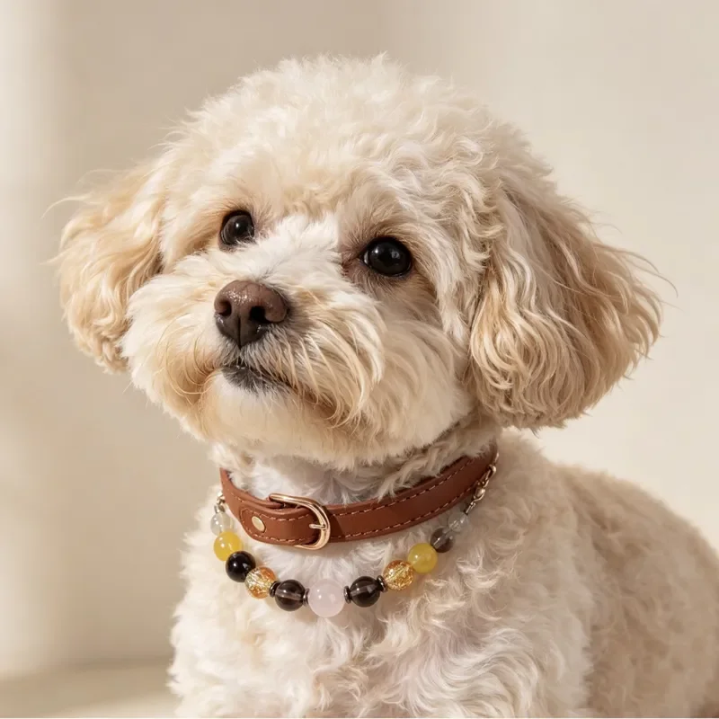 collier-en-cristal-pour-animaux-de-compagnie-collier-pour-chien-perle-en-citrine-collier-en-cristal-pour-animaux-de-compagnie-best-seller-transfrontalier-pour-animaleries