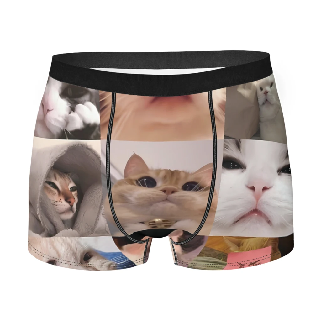 Cat Meme Funny Meme Cats Collection Underpants Homme Panties Man Underwear PrintShorts Boxer Briefs