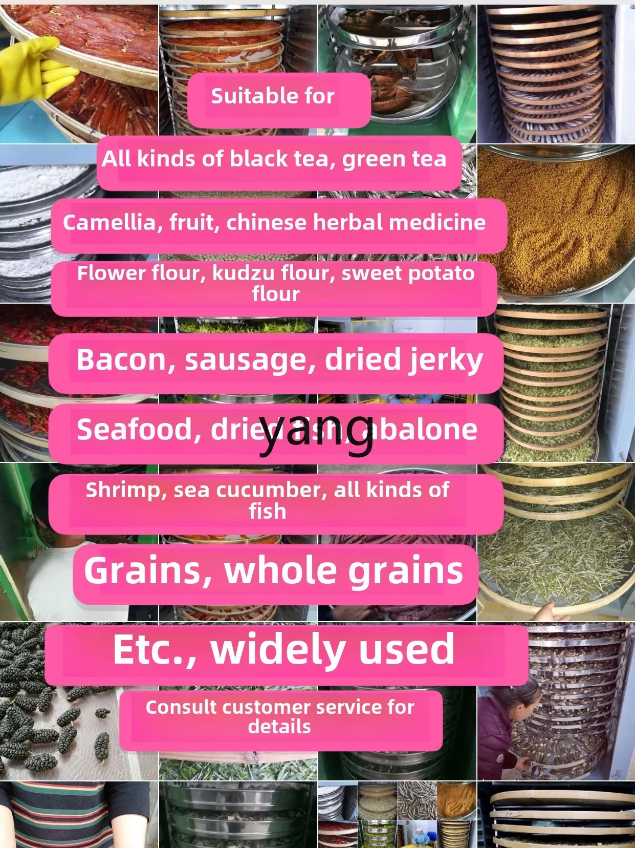 Lhh alimentos secador de chá semente de lótus brotos de bambu seco framboesa fungo comestível cozimento grande comercial