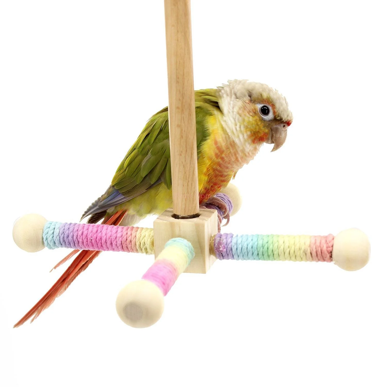 Small Sun Cockatiel Cage Toy Rotating Windmill Parrot Biting Chew Hemp Rope Perch Colorful Cotton Rope for Budgie Lovebird