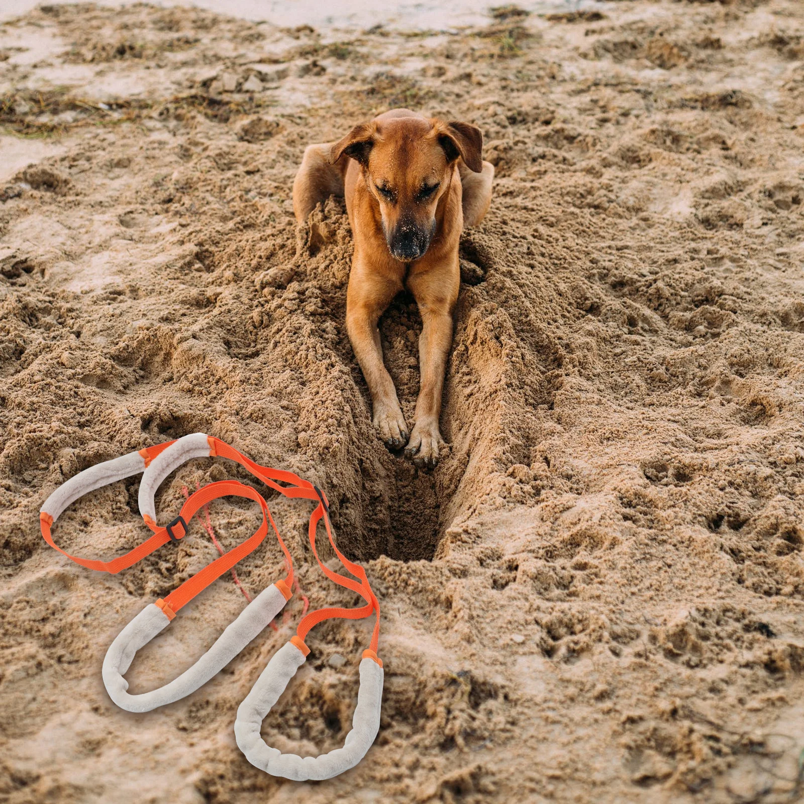 

Pet Rear Support Aid Comfortable Adjustable Dog Disabled Rehabilitation Walking Assist Auxiliary Belt Pet Rear Support Aid