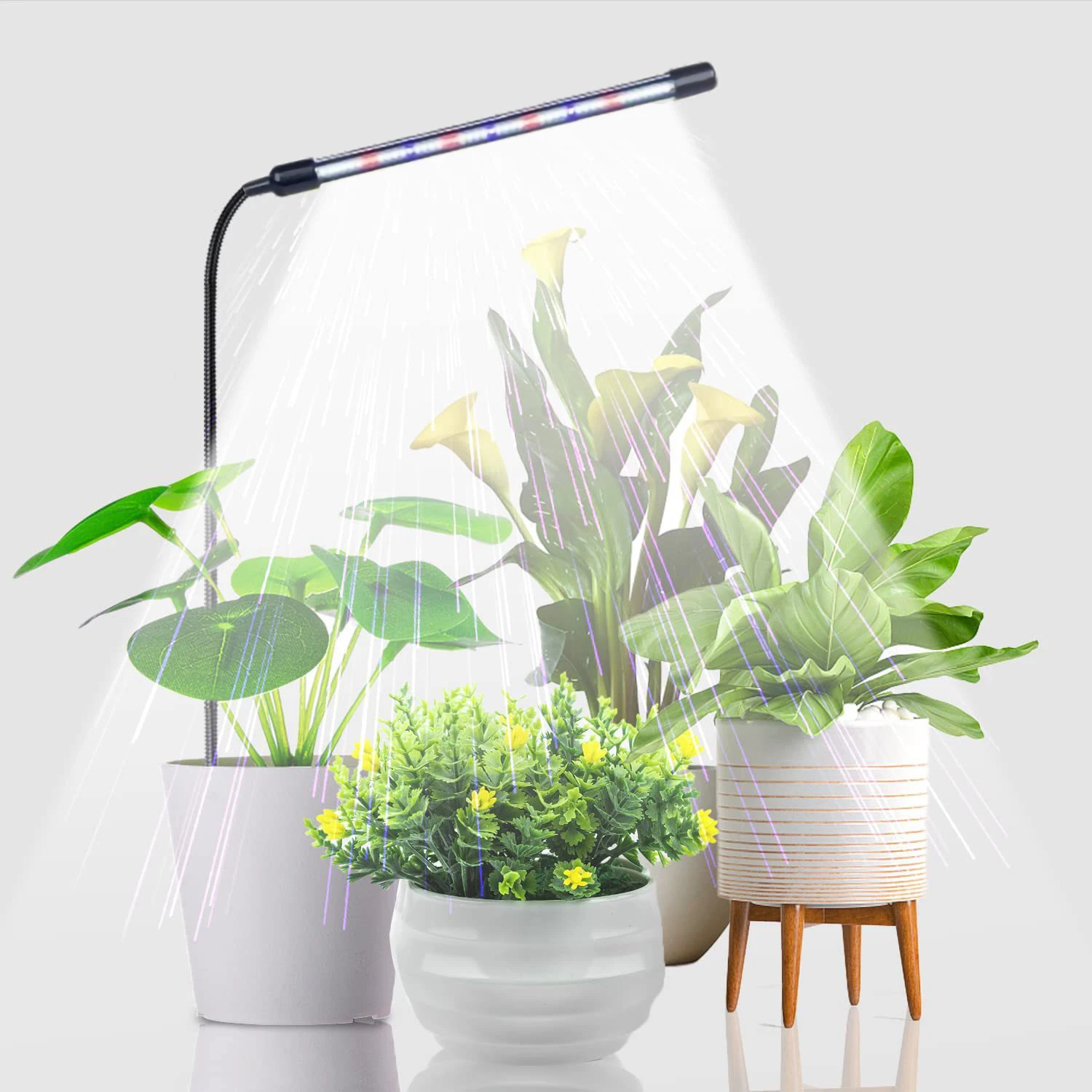 Luz de crescimento de plantas espectro completo led luz de planta interna com temporizador liga/desliga automático 4/8/12h pescoço de ganso pode tubo de dobra livre regulável