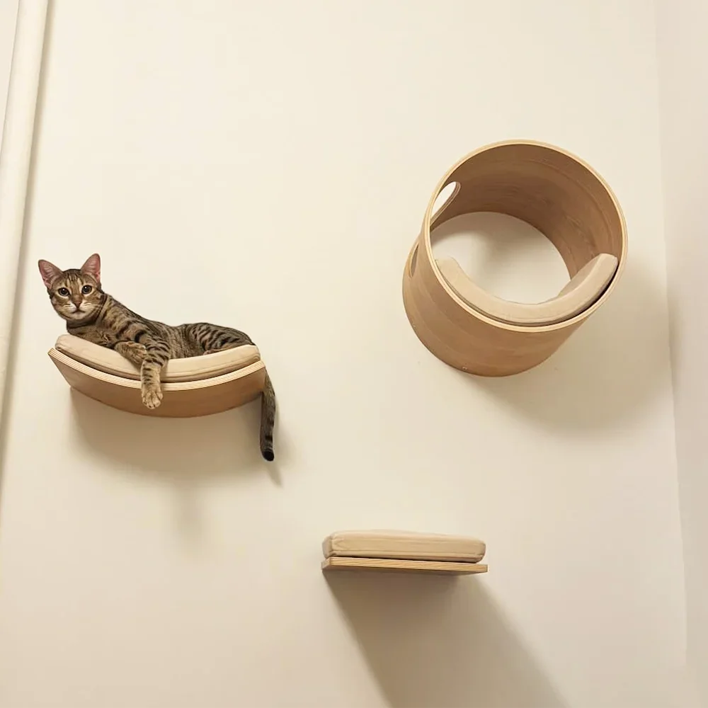 

Cat ledge cat steps with cushions wall cat platform curved cat ledge wall mounted cat bed for sleeping, playing and climbing