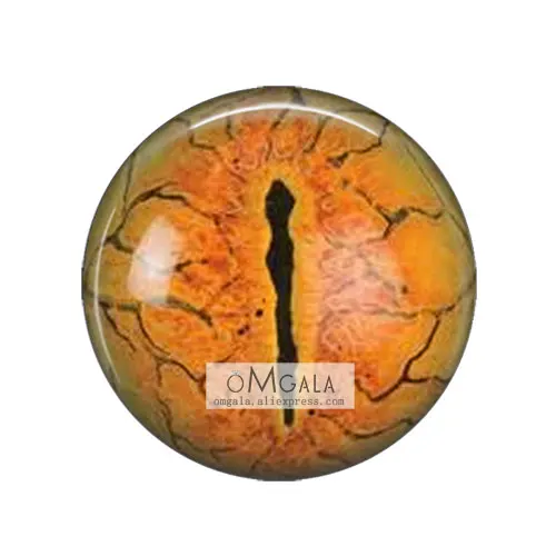 In Pairs Dragon Cat Animal Eyes Dome Patterns 12mm/16mm/18mm/20mm/25mm Round photo glass cabochon demo flat back Making findings