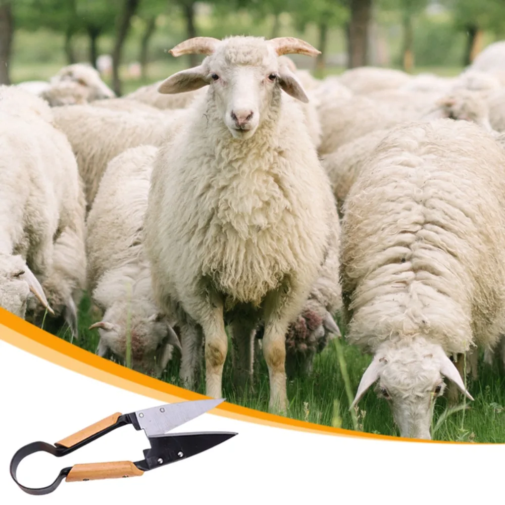 13 Inch Sheep Topiary Shear Gardening Pruning Shear Wool Shearin Tree Branch Scissors For Goat Sheep Horse Rabbit Shear Wool