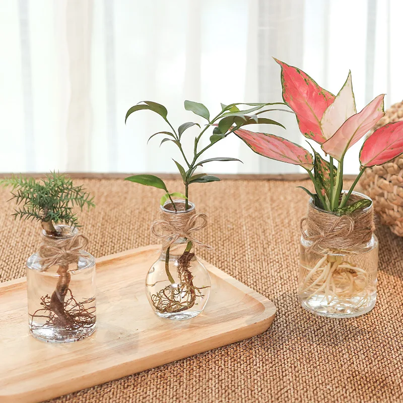 

1PC Clear Plastic Hyacinth Vase Transparent Flower Plant Bottle Pot DIY Ornaments Home Living Room Garden Decor Simple Flowerpot