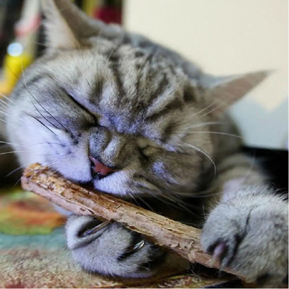 ZK30 Pet Cat Toys Natural Catnip Cat Molar Stick For Silvervine Teeth Cleaning Treating Cat Mint Caught Bite Excited Rods