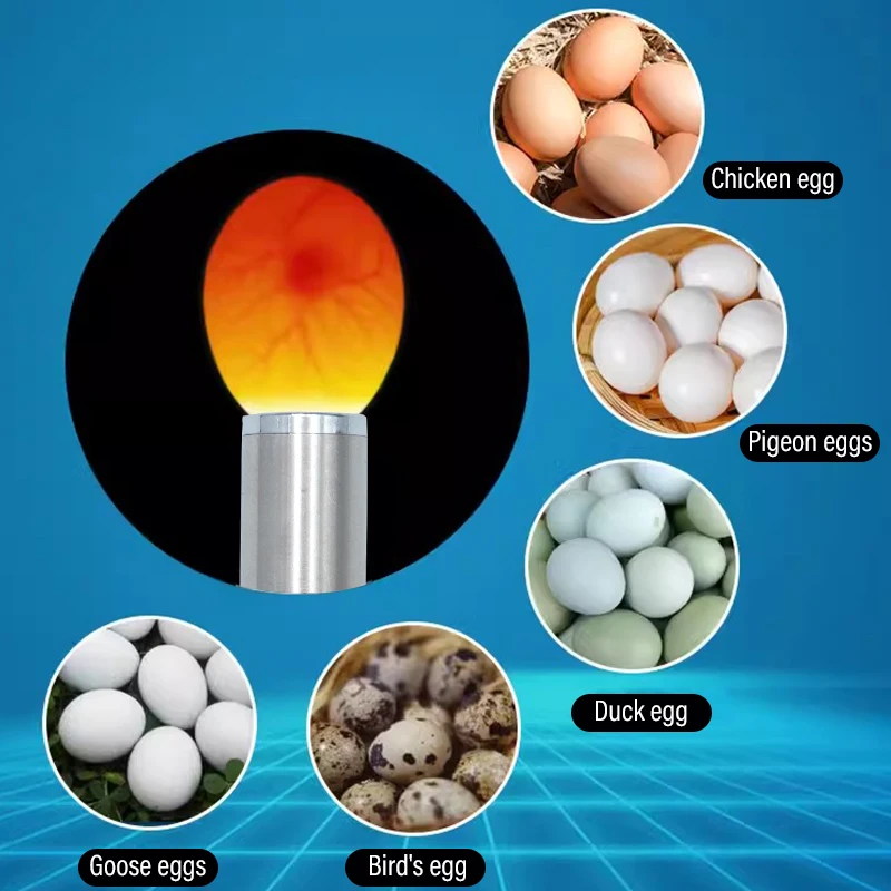 Aluminum Incubator Eggtester Egg Candling Cold White Mini Lamp Led Super Cold Equipment Incubation Tool