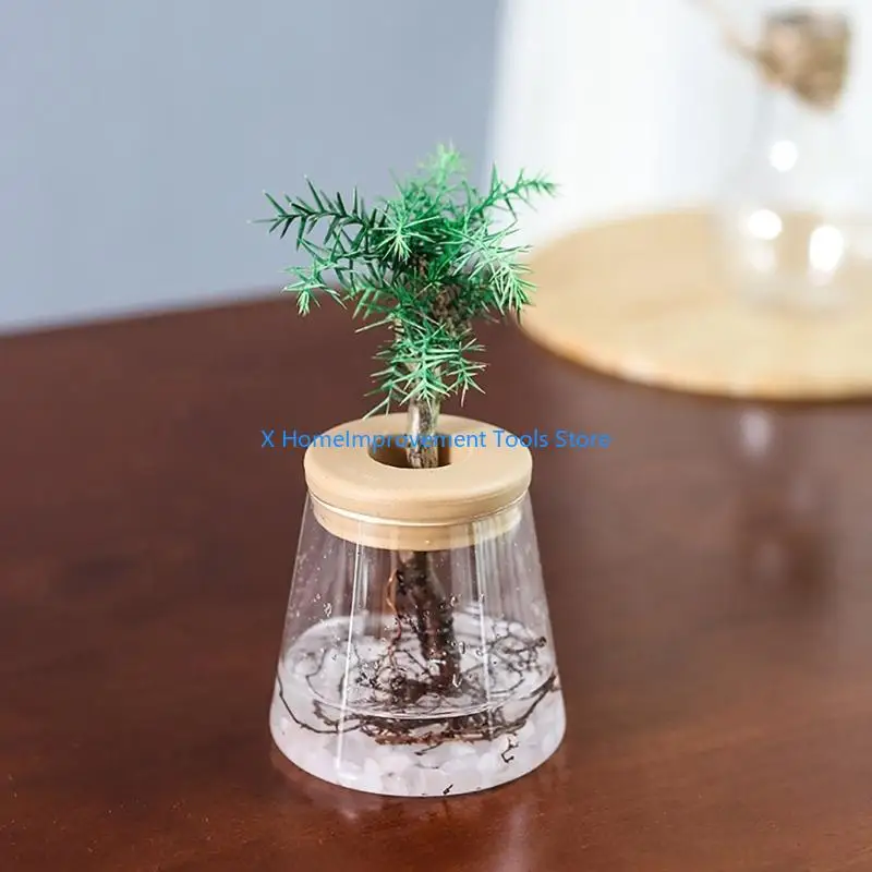 

Convenient Watering Container Tabletop Vase Pots for Busy Plant Enthusiasts 31KA
