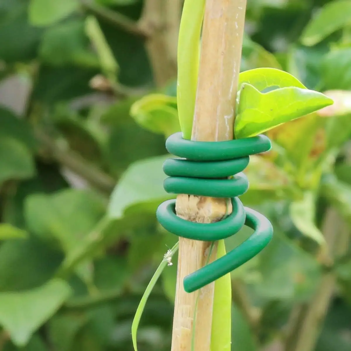 Garden Plants Climbing Tie Green Rubber Twist Cable Ties Reusable Flexible Vine Support Twist Ties Plant Stems Support Wire