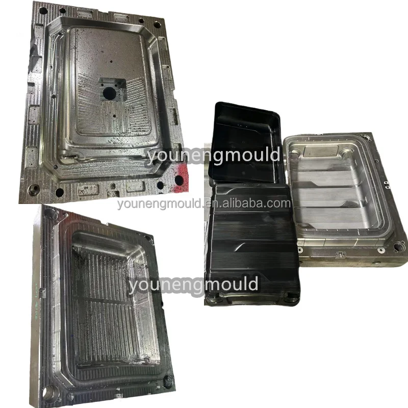Mould OEM China Taizhou Experienced Injection Plastic Suitcase Luggage case Mold