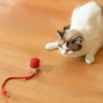 

Design Interactive Smart Ball With Tail Accessories Rolling on Carpet Fast Indestructable Smart Rolling