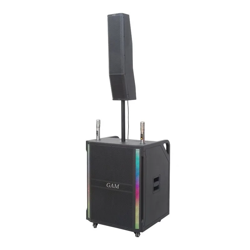

OEM 300W 18 Inch Portable Active Line Array Speaker Column System