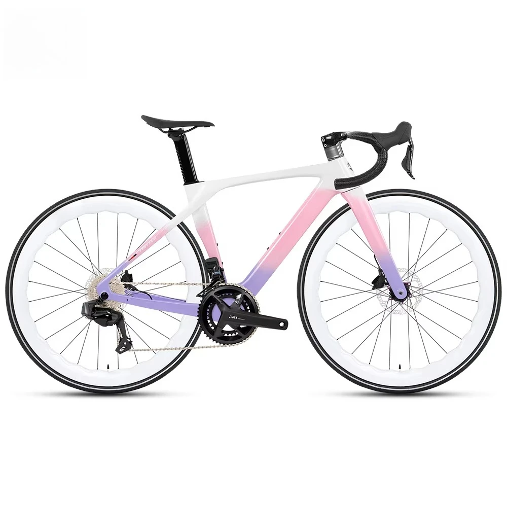 

Carbon Fiber Road Bike 700C 24 Speed Hydraulic Disc Brake Racing Bicycle with Carbon Wheels