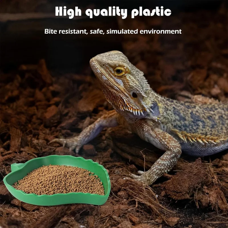 

Черепаха, дворцовая гвардия, кукурузная змея, бородатый дракон, горшок для еды листьев ящерицы, 2 шт., аксессуары для среды обитания рептилий, миска для воды