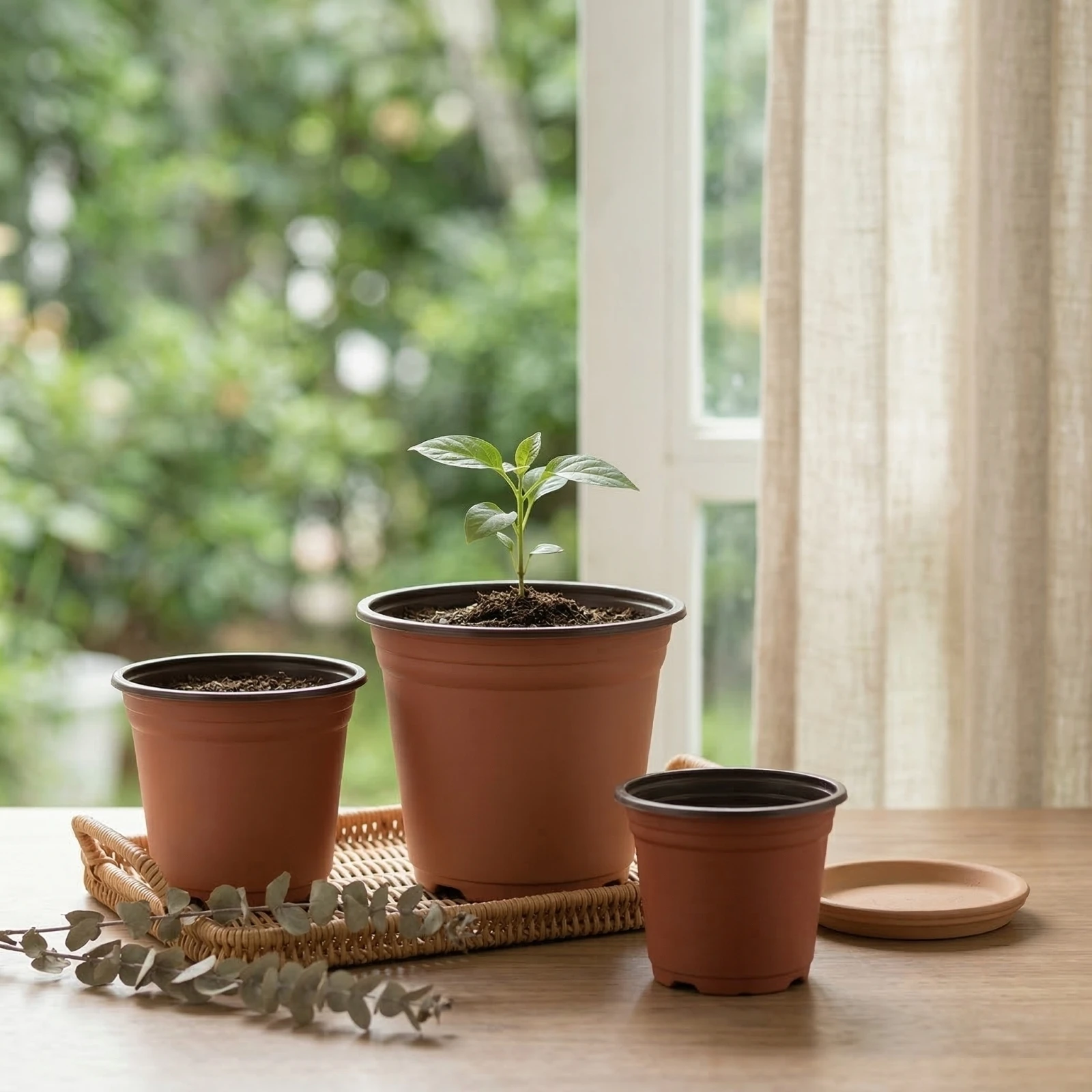 50Pcs Starter Pots Plastic Nursery Plant Pots with Drainage Holes for Indoor Outdoor Gardening Seedling Succulent Planting